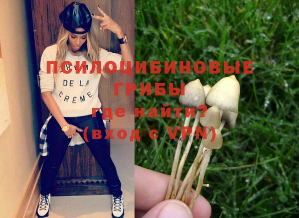 PSILOCYBIN Кулебаки