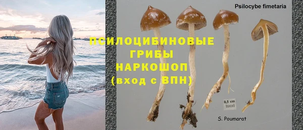 амф Лабытнанги