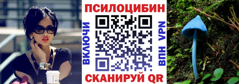продажа наркотиков  Сусуман  МЕГА как зайти  Псилоцибиновые грибы GOLDEN TEACHER 